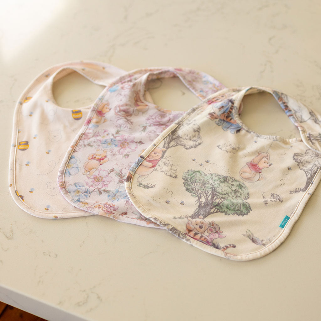 Disney Hundred Acre Wood Bib Set
