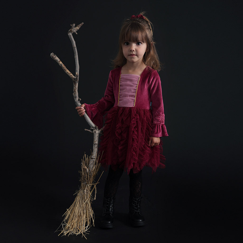 Disney Hocus Pocus Sarah Velour Tulle Dress