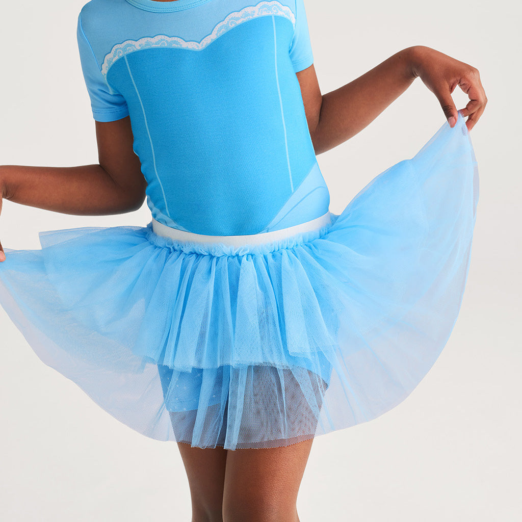 Disney Cinderella Tulle Tutu Skirt